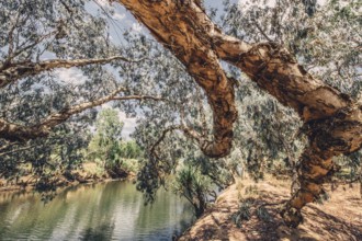 River and other waters in the outback in the north of Australia