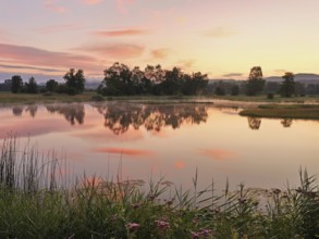 Morning atmosphere at a pond in the Schoren nature reserve, Mühlau, Freiamt, Canton Aargau,