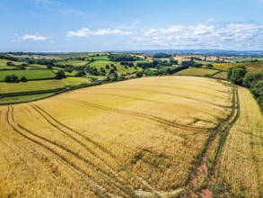 DefaultFarms and Fields over Torquay from a drone, Devon, England, United Kingdom