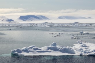 Drift ice, sea ice, sea, mountain range, Faksevagen, Spitsbergen, Svalbard