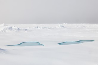 Sea ice at the ice edge, 82nd parallel, Spitsbergen, Svalbard