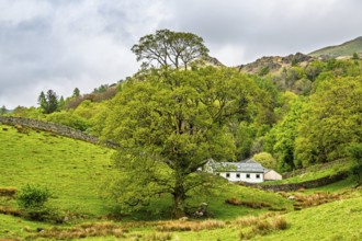 Farms in Lake District National Park, Cumbria, England, United Kingdom