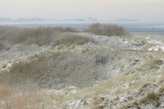 View over the snow-covered dune landscape of Norddeich, Wadden Sea at low tide, North Sea, Lower