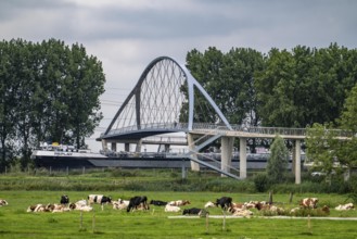 The Liniebrug, bicycle and pedestrian bridge over the Amsterdam-Rhine Canal near the village of