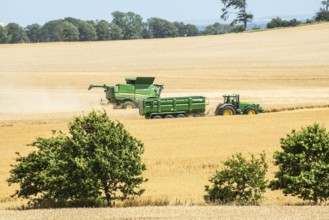 Landscape with threshing of grain with combine harvester at Ystad, Skåne county, Sweden,