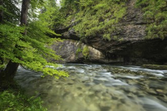 Wild and romantic Weißbach Gorge near Inzell