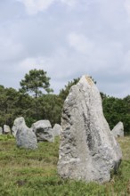 Megalithe, Alignements de Kermario, Carnac, Department of Morbihan, Brittany, France