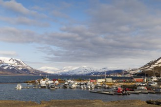 Longyarbyen harbour, sailing ships, Spitsbergen, Svalbard