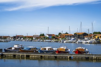 La Teste-de-Buch, Arcachon, Gironde, France