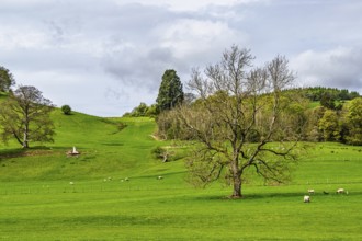 Farms, Ullswater Lake, Lake District National Park, Cumbria, England, United Kingdom
