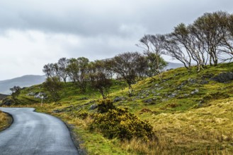 Farms over Loch Slapin, Isle of Skye, Scotland, UK