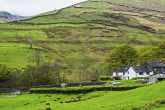Farms in Lake District National Park, Cumbria, England, United Kingdom