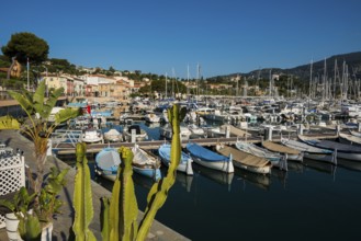 Saint-Jean-Cap-Ferrat, Cap Ferrat, Alpes Maritimes, Provence Alpes Cote d'Azur, French Riviera,