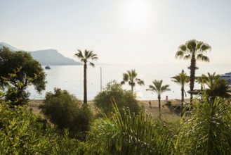 Beach, Plage Cros Dei Pin, Saint-Jean-Cap-Ferrat, Cap Ferrat, Alpes Maritimes, Provence Alpes Cote