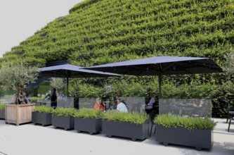 Climate protection. Europe's largest green façade 30, 000 young hornbeams thrive on the roof and