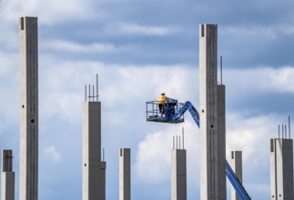 Construction of a new logistics hall on the Mercatroinsel, Hall 2, next to an existing hall, approx