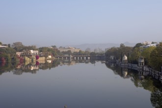 Swaroop Sagar Lake in the morning light, Udaipur, Rajasthan, India