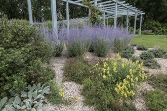 Karl Förster Garden, Gardens of the World, Berlin, Germany