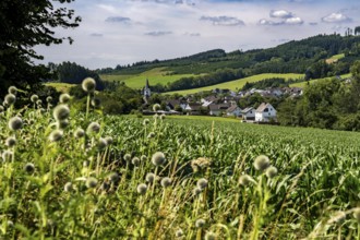 Landscape along the Sauerlandring cycle path, an 84 km long circular cycle path between the towns