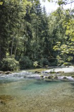 Mangfall near Bruckmühl, district of Miesbach, Upper Bavaria, Bavaria, Germany