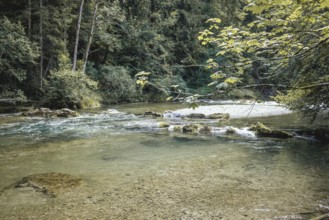Mangfall near Bruckmühl, district of Miesbach, Upper Bavaria, Bavaria, Germany
