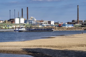 Low water of the Rhine near Leverkusen, Rhine bank, left bank of the Rhine, near Cologne-Merkenich,