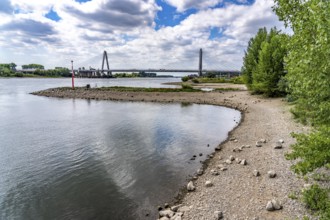 Low water level of the Rhine at Leverkusen, new Rhine bridge on the A1 motorway, extremely low