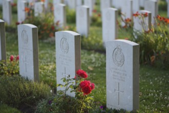 Gravestones, war graves, soldiers' graves, flowers, roses, British and German military cemetery,