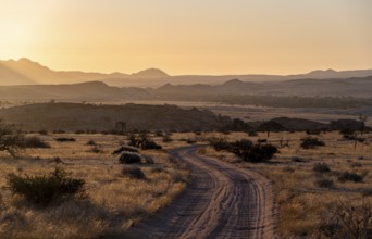 Sandy track, desert landscape in the evening light at sunset, backlit, Brandberg, Erongo,