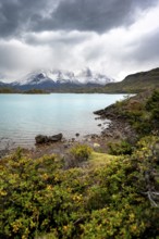 Cloudy mountain range Cuernos del Paine, shore of the blue lake Lago Pehoe in the evening light,