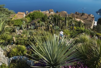 Picturesque mountain village overlooking the sea, Jardin Exotique, Èze, Cote d'Azur,