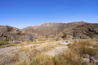 Tsisab Gorge, White Lady Trail, desert landscape, Brandberg, Erongo, Damaraland, Namibia