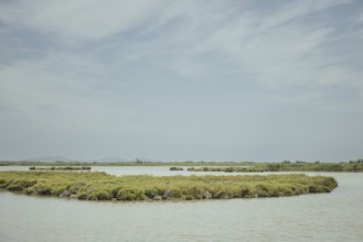 Rhone Delta, Arles, Provence, France
