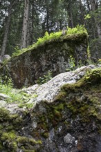 Seidlwinkl Valley, Rauris, Pinzgau, Salzburg, Austria