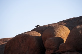 Rock formation, Pontok Mountains, Great Spitzkoppe, Spitzkoppe, Great Spitzkoppe Nature Reserve,