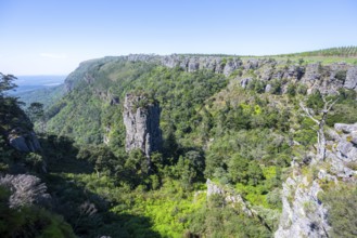 Rock needle in a densely forested canyon, Pinnacle Rock, view over canyon landscape, near Graskop,