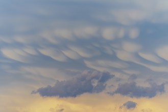 Unusual cloud structures create captivating shapes against a backdrop of warm colours as the sun