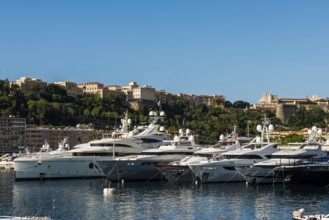 Harbour with luxury yachts, Monte Carlo, Cote d'Azur, Monaco