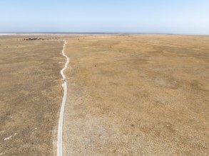 Off-road vehicle driving on a sandy track through a vast dry landscape with yellow grass, Sowa Pan,