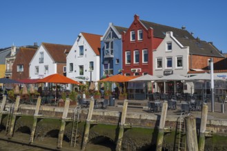 Building at the harbour, Husum, North Sea, North Frisia, Schleswig-Holstein, Germany