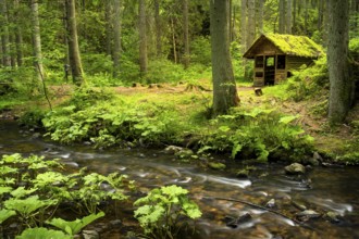 The Rötenbachschluchthütte in the forest, with moss on the roof. In front of it the Rötenbach with