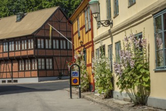 Hollyhocks (Alcea rosea) at houses in a small street in the idyllic downtown of Ystad, Skåne
