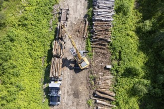 Tractor loading timber on a heavy hauler, Region of La Mauricie, Province of Quebec, Canada, North