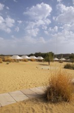 Desert camp or tented camp in the Thar Desert or Great Indian Desert, near Jaisalmer, Rajasthan,