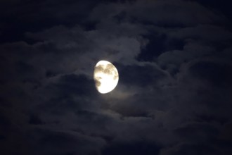 Picturesque sky with moon, moonlit night, July, Germany