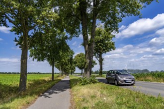 Country road south of Kampen, on the Lower Rhine, with side cycle and footpath, North