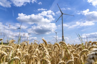 Rheurdt wind farm, south of Ismus, 3 Enercon E-115, behind Enercon E-160 WTGs, wind turbines, North