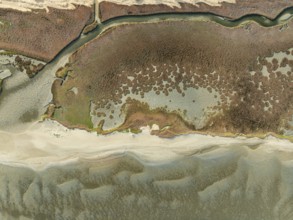 Marshes and streams at low tide in the Walvis Bay Lagoon. Aerial view. Drone shot. Namibia