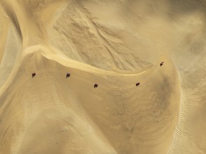 Quad bikes in the dunes of the Namib Desert in the vicinity of the coastal town of Swakopmund.
