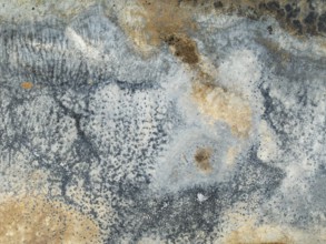 Abstract saline patterns at the edge of the Walvis Bay salt works. Aerial view. Drone shot. Namibia